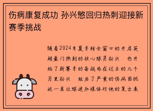 伤病康复成功 孙兴慜回归热刺迎接新赛季挑战